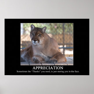 Poster d'appréciation