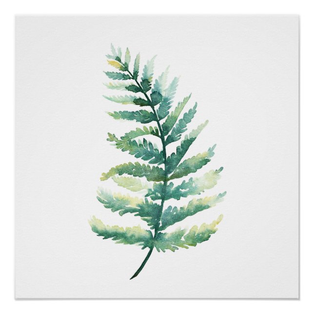 Poster d'aquarelle de Fern Frond Botanical Imprime (Devant)