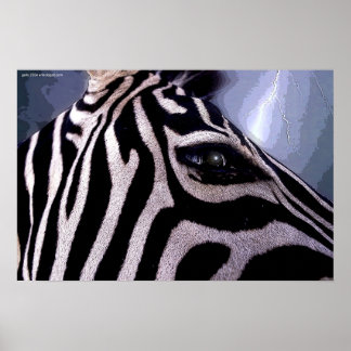 Poster Dark Continent par Gregory Gallo