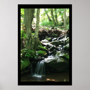 Poster Dark Hollow Falls Imprimer #4836