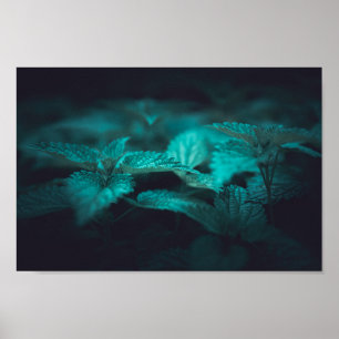 Poster Dark Moody Stinging Nettle Nature Photo