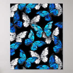 Poster Dark Seamless Pattern with Blue Butterflies Morpho