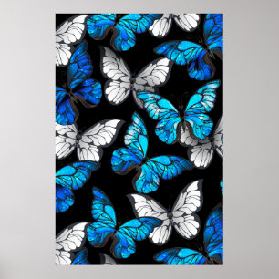 Poster Dark Seamless Pattern with Blue Butterflies Morpho
