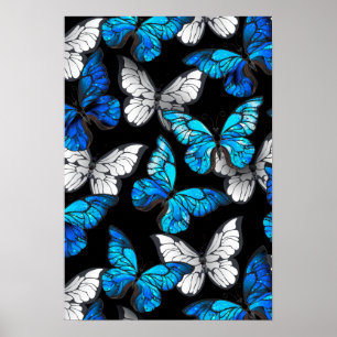 Poster Dark Seamless Pattern with Blue Butterflies Morpho