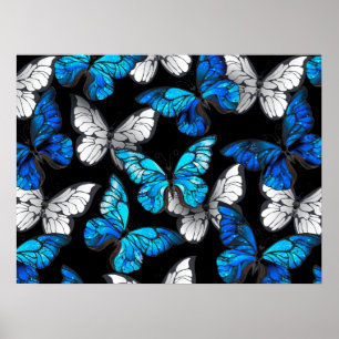 Poster Dark Seamless Pattern with Blue Butterflies Morpho