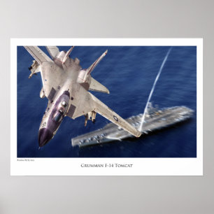Poster d'art aéronautique "F-14 Tomcat"