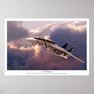 Poster d'art aéronautique "F-14 Tomcat"
