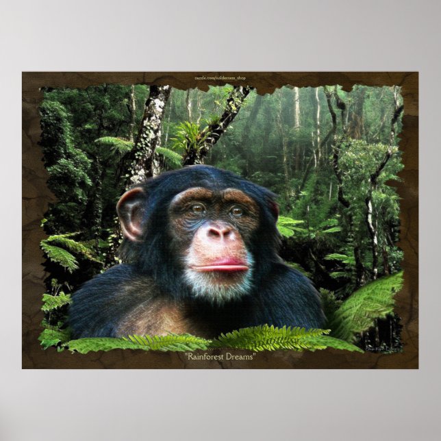 Poster d'art Chimpanzé "RAINFOREST DREAMS II" (Devant)