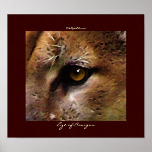Poster d'art COUGAR EYE
