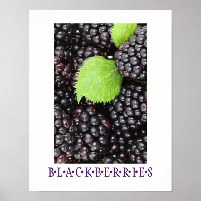 Poster d'art de la cuisine Blackberries (Devant)