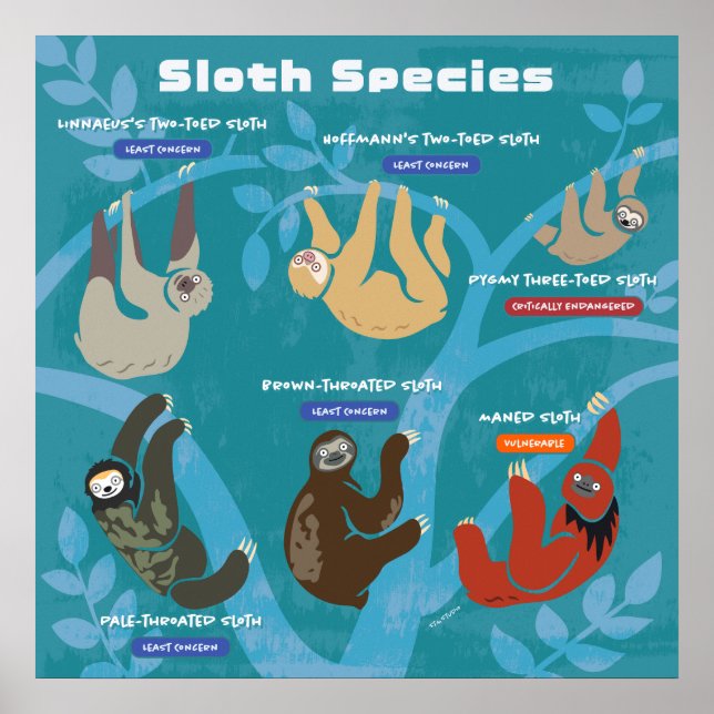 Poster d'art de Sloth Espèces (Devant)