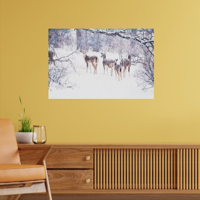 Poster d'art de Snow Deer au Texas (Salon 2)