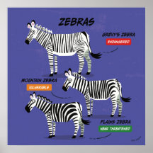 Poster d'art des espèces Zebra v2