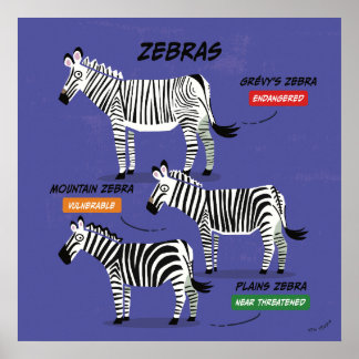 Poster d'art des espèces Zebra v2
