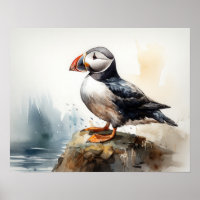 Poster d'art d'Oiseaux de macareux de l'Atlantique