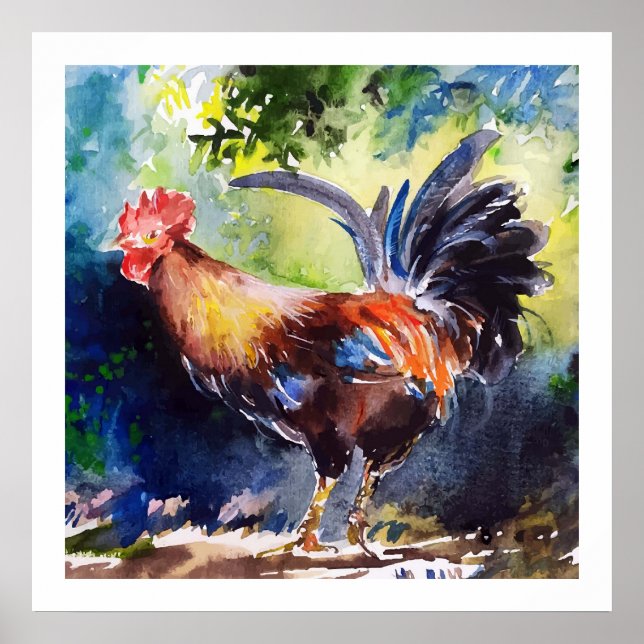 Poster d'art du coq d'aquarelle (Devant)