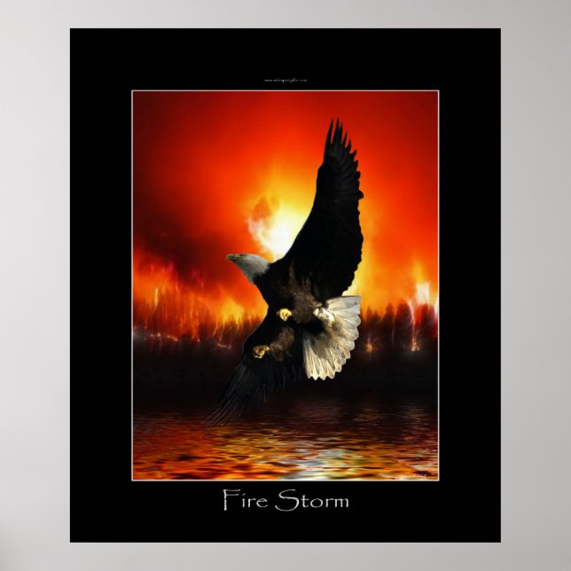 Poster d'art FIRESTORE Bald Eagle (Devant)