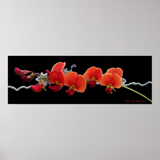 Poster d'Art Floral (Devant)