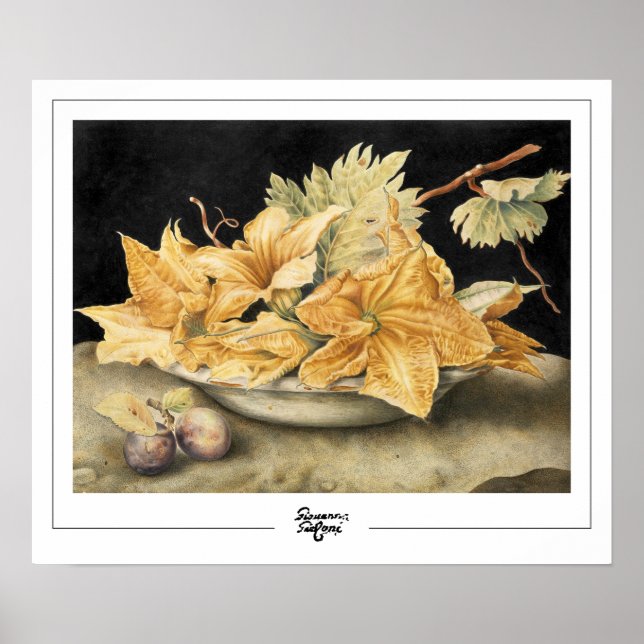 Poster d'art Giovanna Garzoni Zedign #1 (Devant)