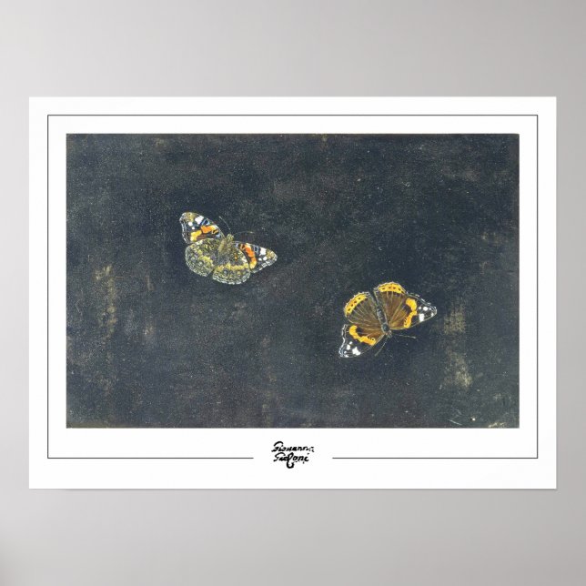Poster d'art Giovanna Garzoni Zedign #2 (Devant)