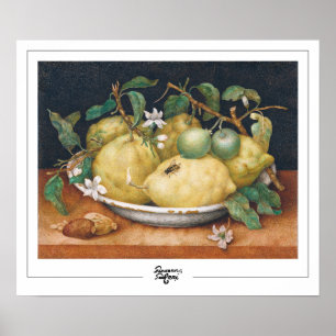 Poster d'art Giovanna Garzoni Zedign #4