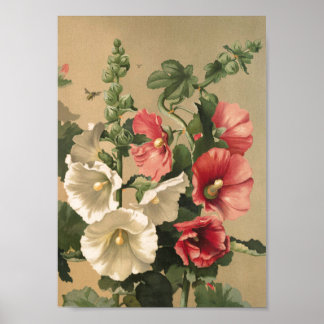Poster d'art Hollyhocks vintage