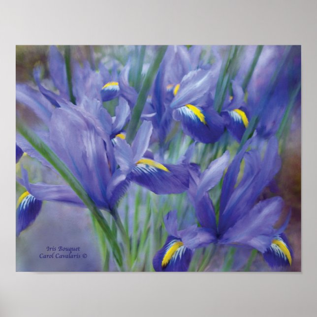 Poster d'art Iris Bouquet / Imprimer (Devant)