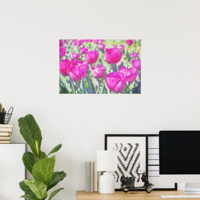 Poster d'Art Jardin Tulips Pretty Rose (Bureau à domicile)
