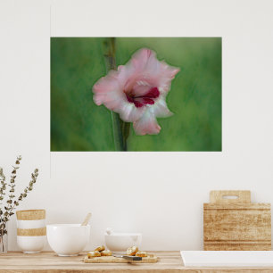 Poster d'Art Jolie rose Gladiolus