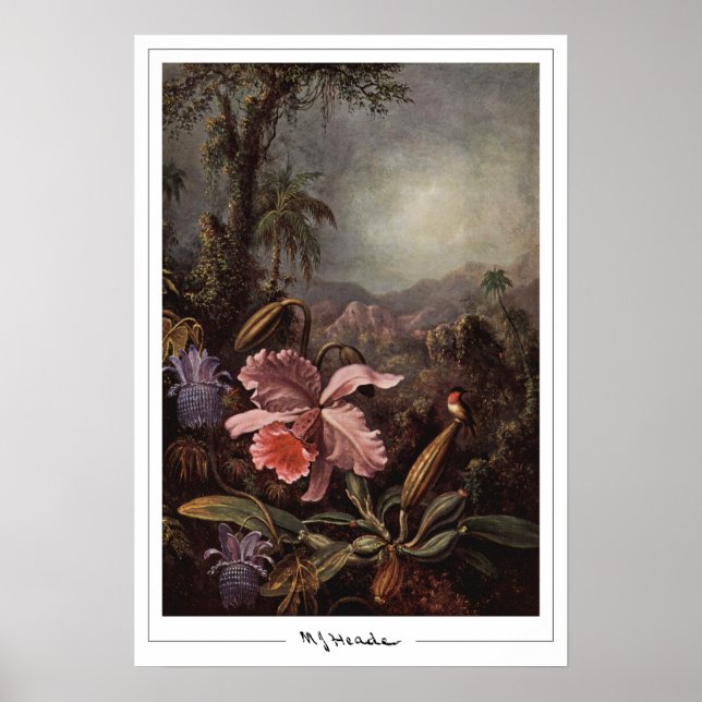 Poster d'art Martin Johnson Heade Zedign #202 (Devant)