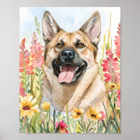 Poster d'art norvégien Elkhound Watercolor Chien