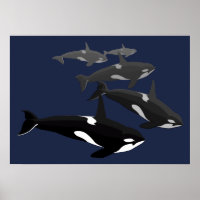Poster d'art orca Whale Killer Whale Art Prints Ca