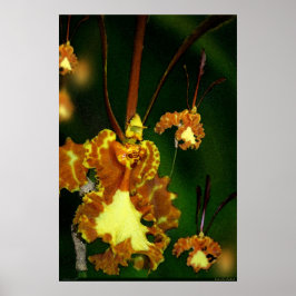 Poster d'art orchidée papillon -24x36 -autres tail