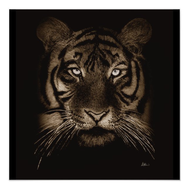 Poster d'art original Tiger Imprimer (Devant)
