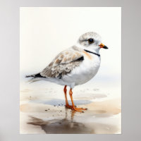 Poster d'art ornithologique de tuyauterie