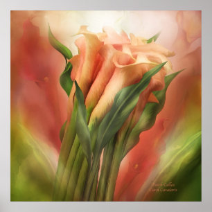Poster d'art Peach Callas/Imprimer