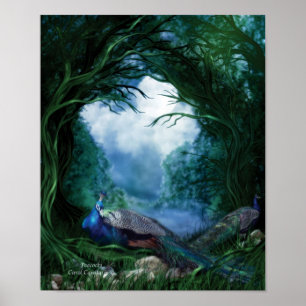 Poster d'art Peacocs/Imprimer