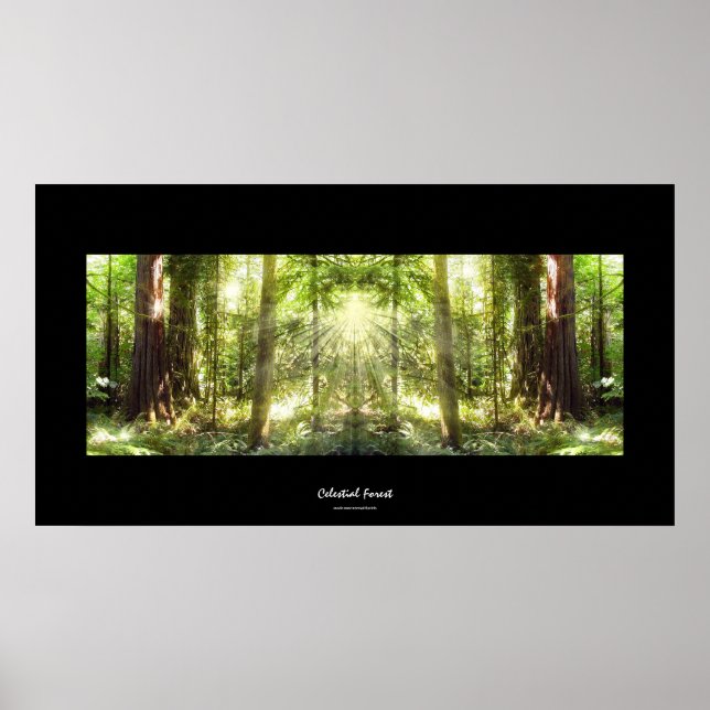 Poster d'art photo de la lumière solaire mystique  (Devant)