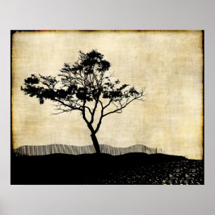 Poster d'art photo Silhouette Arbre