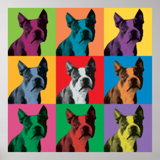 Poster d'art pop de Boston Terrier