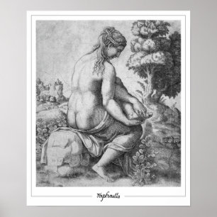 Poster d'art Raphael Zedign #300
