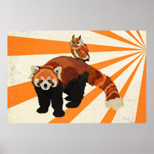 Poster d'art Red Panda & Owl