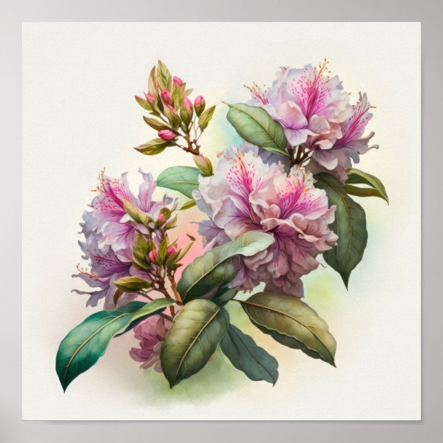 Poster d'art rose Rhododendron (Devant)