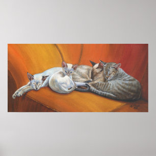 Poster d'art Siamese Cats "Family Nap"