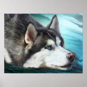Poster d'art sibérien Husky