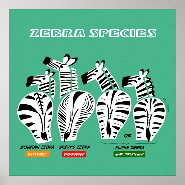 Poster d'art sur les espèces Zebra (Devant)