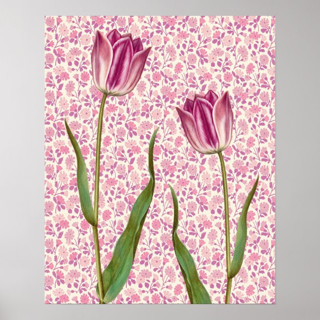 Poster d'art Vintage Magenta Pink Tulip (Devant)