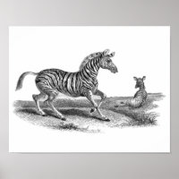 Poster D'Art vintage Zèbre Et Animal Foin