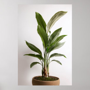 Poster d'art Wabi-Sabi