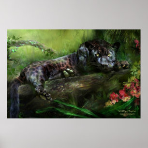 Poster d'art WildEyes-Panther/Imprimer